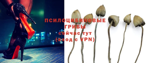 apvp Балабаново