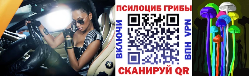 Галлюциногенные грибы мицелий  Тобольск 